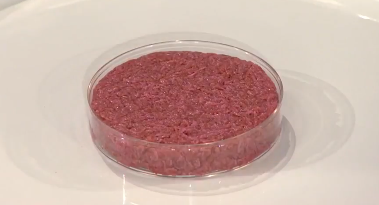 Carne sintetica, fonte foto Wikipedia